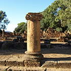 Les ruines de Tipaza